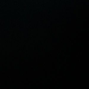 Meet your Posher, Braxton